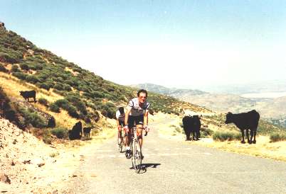 gredos.jpg (17431 bytes)